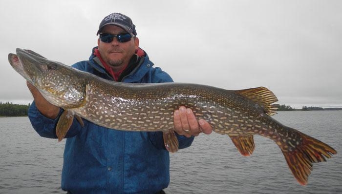 Happy Fisherman Holding Big Pike Fish Trophy and Fishing Rod Stock Image -  Image of reel, hand: 126139181